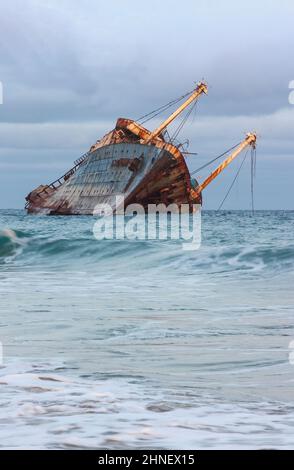 SS American Star Schiffbruch auf Fuerteventura, Kanarische Inseln, Spanien Stockfoto