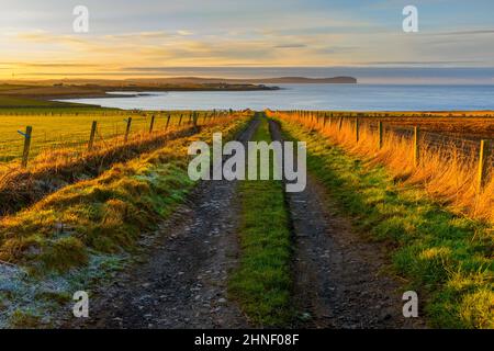 Dunnet Head und der Pentland Firth, von einem Farmpfad in der Nähe des Dorfes Mey, Nordküste von Caithness, Schottland, Großbritannien Stockfoto