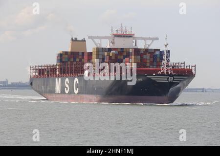 Das große Frachtschiff msc zoe fährt im Sommer in der Nähe durch die schelde an der niederländischen Küste in terneuzen nach antwerpen Stockfoto