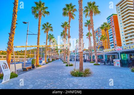 Genießen Sie den Spaziergang mit Blick auf hohe Palmen, Cafés und moderne Gebäude der Muelle Uno Promenade des Hafens von Malaga, Spanien Stockfoto