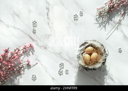 Osterhintergrund mit Eiern im Nest. Kleine rosafarbene Frühlingsblumen auf einem weißen Marmortisch. Draufsicht, flach liegend. Stockfoto