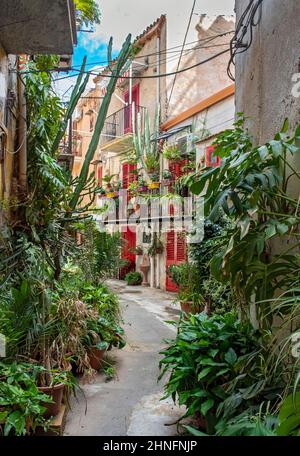 Enge Straße mit Blumentöpfen und leuchtend roten Türen und Fenstern in der Stadt Monreale in der Nähe von Palermo, Sizilien, Italien Stockfoto