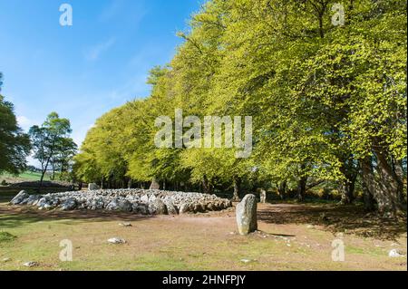 Neolithikum, Neolithikum, Schubkarre, megalithische Kultur, Tumulus, Clava Cairns, Balnuaran of Clava, in der Nähe von Inverness, Highland, Schottland, Großbritannien Stockfoto