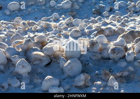 Schnee, Frost und Wind erzeugen unregelmäßig geformte Eisbälle am Ufer des Lake Michigan Stockfoto