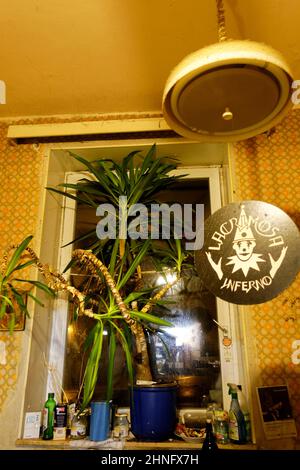 Pflanze topf im Fenster Stockfoto