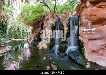 Las Vegas, 6 2015. AUGUST - Bewölkter Blick auf den Garten des Flamingo Casinos Stockfoto