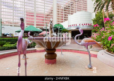 Las Vegas, 6 2015. AUGUST - Bewölkter Blick auf den Garten des Flamingo Casinos Stockfoto