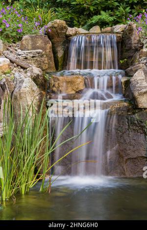 Der Wasserfall grenzt an Geranium 'Rozanne' - Cranesbill Flowers und Acorus gramineus 'variegatus' - ein buntes japanisches Rush im Teich. Stockfoto