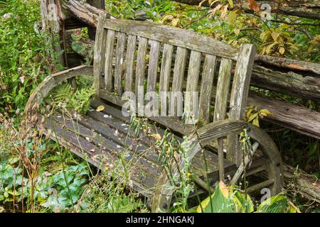 Waggonradbank und Barschenzaun mit Bryophyta - Green Moss und Lichen im Hinterhofgarten im Spätsommer bedeckt. Stockfoto