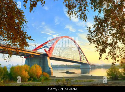 Bugrinsky Brücke im goldenen Herbst. Gewölbte Automobilbrücke am Ufer des ob, zwischen den Baumkronen. Nowosibirsk, Sibirien, Russland, 2021 Stockfoto