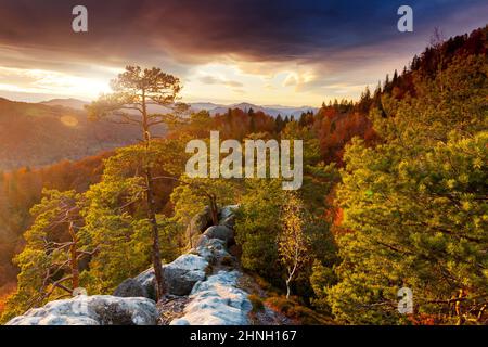 Atemberaubender Sonnenaufgang am bewaldeten Berghang. Ort Ort Karpatennationalpark, Ukraine, Europa. Bild einer herrlichen Herbstszene. Lebendiges Pho Stockfoto