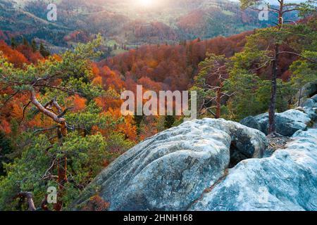 Atemberaubender Sonnenaufgang am bewaldeten Berghang. Ort Ort Karpatennationalpark, Ukraine, Europa. Bild einer herrlichen Herbstszene. Lebendiges Pho Stockfoto