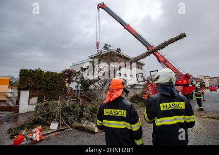 Hradec Kralove, Tschechische Republik. 17th. Februar 2022. Feuerwehrleute entfernen am 17. Februar 2022 in Hradec Kralove, Tschechien, nach starkem Wind einen umgestürzten Baum. Fast 96.000 Kunden sind in der Tschechischen Republik aufgrund des starken Windes ohne Stromversorgung. Quelle: David Tanecek/CTK Photo/Alamy Live News Stockfoto