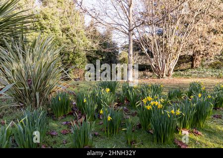 Hammersmith & Acton-Region-Fotografie Stockfoto