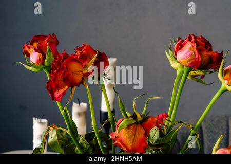 Rot verblassende Rosen, eine Komposition aus Kerzen und Blumen auf dunkelgrauem Hintergrund Stockfoto