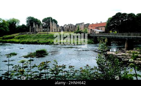 Finchale Priory, ausgesprochen finkle Priory, auch bekannt als Finchale Abbey, County Durham, U.K. mit seiner Fotbrücke über den Fluss Wear. Wie viele englische Abteien steht es in einer wunderschönen bewaldeten Umgebung. Das Benediktinergebäude wurde 1196 an der Stelle der Einsiedelei von St. Godric, einem pensionierten Seemann und Kaufmann, gegründet, das Priorat wurde zum Vorposten der Kathedrale von Durham, von wo aus die Mönche von Durham reisten und es bis zu seiner Unterdrückung im Jahr 1538 als Urlaubsrefugium nutzten. Godrics ursprüngliche Einsiedelei wurde dem hl. Johannes dem Täufer geweiht. Es steht unter der Obhut des englischen Erbes. Stockfoto