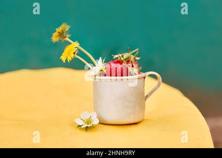 Erdbeeren und Elandelionen in einem Reisetasse aus Metall-Aluminium. Grüner und gelber Frühlingshintergrund. Cottagecore Ästhetik Konzept, trendige Schatten Backgro Stockfoto