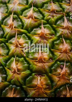 Vertikale Nahaufnahme von frisch reifen Ananas Textur Stockfoto