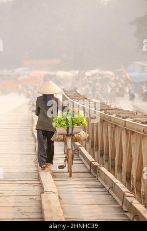 Rückansicht einer vietnamesischen älteren Frau mit Fahrrad und Gemüse über die Holzbrücke über einen Fluss. Dien Bien Phu, Vietnam. Stockfoto