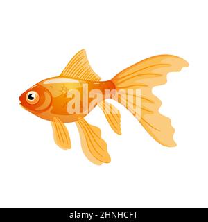 Goldfisch in realistischem Stil auf weißem Hintergrund.Vektorgrafik Stock Vektor