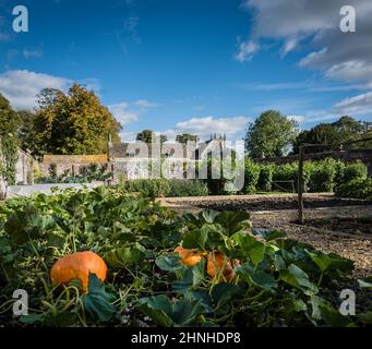 Küchengarten im Avebury Manor, Wiltshire, Großbritannien. Stockfoto