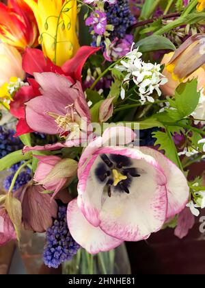 Floraler Hintergrund. Die Kunst der Blumenarrangements. Nahaufnahme eines romantischen Blumenstraußes. Tulpenblüten, Hellebore, Lunaria und Hyazinthen werden verwendet Stockfoto