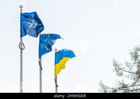 Die Flagge der NATO, der Europäischen Union und der Ukraine winkt am Himmel zusammen mit einem Baum auf der rechten Seite Stockfoto