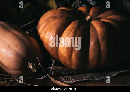 Zwei Kürbisse im Herbst. Schönes und weiches Licht im Herbst Mood&Concept Stockfoto