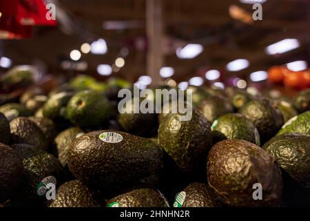 Bloomington, Usa. 14th. Februar 2022. Avocados aus Mexiko wurden in den Vereinigten Staaten verboten, einige sind jedoch in einem Supermarkt in Bloomington, Ind, zum Verkauf erhältlich. Die Regierung der Vereinigten Staaten Verbot Importe aus dem mexikanischen Bundesstaat Michoacán, nachdem eine Drohung gegen einen in Mexiko arbeitenden Inspektor der amerikanischen Bundesregierung ausgesprochen wurde. Kredit: SOPA Images Limited/Alamy Live Nachrichten Stockfoto