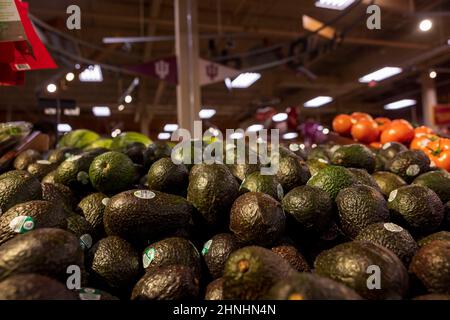 Bloomington, Usa. 14th. Februar 2022. Avocados aus Mexiko wurden in den Vereinigten Staaten verboten, einige sind jedoch in einem Supermarkt in Bloomington, Ind, zum Verkauf erhältlich. Die Regierung der Vereinigten Staaten Verbot Importe aus dem mexikanischen Bundesstaat Michoacán, nachdem eine Drohung gegen einen in Mexiko arbeitenden Inspektor der amerikanischen Bundesregierung ausgesprochen wurde. Kredit: SOPA Images Limited/Alamy Live Nachrichten Stockfoto