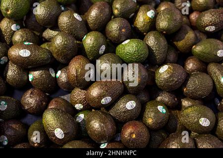 Bloomington, Usa. 14th. Februar 2022. Avocados aus Mexiko wurden in den Vereinigten Staaten verboten, einige sind jedoch in einem Supermarkt in Bloomington, Ind, zum Verkauf erhältlich. Die Regierung der Vereinigten Staaten Verbot Importe aus dem mexikanischen Bundesstaat Michoacán, nachdem eine Drohung gegen einen in Mexiko arbeitenden Inspektor der amerikanischen Bundesregierung ausgesprochen wurde. (Foto von Jeremy Hogan/SOPA Images/Sipa USA) Quelle: SIPA USA/Alamy Live News Stockfoto