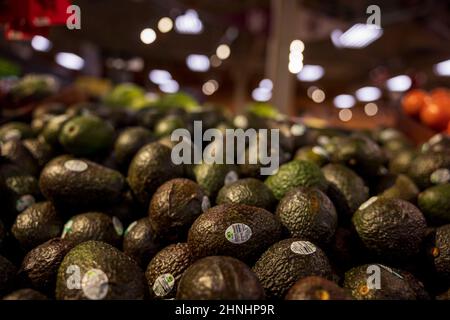 Bloomington, USA. 14th. Februar 2022. Avocados aus Mexiko wurden in den Vereinigten Staaten verboten, einige sind jedoch in einem Supermarkt in Bloomington, Ind, zum Verkauf erhältlich. Die Regierung der Vereinigten Staaten Verbot Importe aus dem mexikanischen Bundesstaat MichoacÃn, nachdem eine Drohung gegen einen in Mexiko arbeitenden amerikanischen Inspektor der Bundesregierung ausgesprochen wurde. (Bild: © Jeremy Hogan/SOPA Images via ZUMA Press Wire) Stockfoto