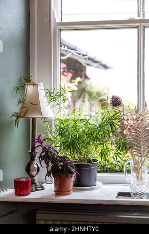 Pflanzen und Dekorationen im Fenster des Prince Llewelyn Pub, Beddgelert Village in Gwynedd, Snowdonia National Park, Wales, Großbritannien Stockfoto