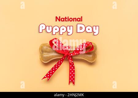Knochen für Hunde mit roter Schleife isoliert auf beigem Hintergrund Draufsicht Flat Lay Delicious Leckerbissen für Ihr geliebtes Haustier Futter für Tiere Concept Text National Stockfoto