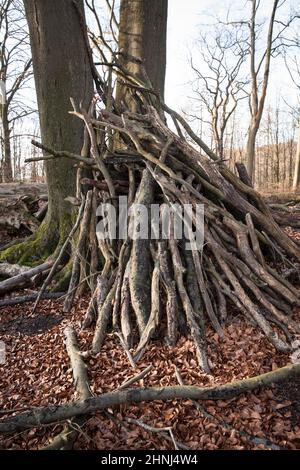 Zweighütte im Wald im Ardey-Gebirge in der Nähe der Stadt Wetter, Nordrhein-Westfalen, Deutschland. Asthuette im Wald im Ardeygebirge bei Wetter A Stockfoto