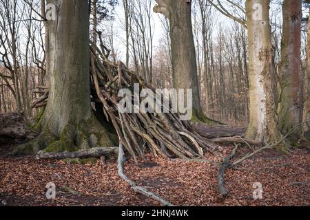 Zweighütte im Wald im Ardey-Gebirge in der Nähe der Stadt Wetter, Nordrhein-Westfalen, Deutschland. Asthuette im Wald im Ardeygebirge bei Wetter A Stockfoto