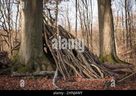 Zweighütte im Wald im Ardey-Gebirge in der Nähe der Stadt Wetter, Nordrhein-Westfalen, Deutschland. Asthuette im Wald im Ardeygebirge bei Wetter A Stockfoto