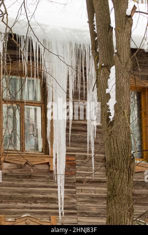 Lange transparente Eiszapfen hängen am Rand des Daches. Vor dem Hintergrund der Holzwand des alten Hauses. Große Kaskaden, sogar schöne Reihen. Wolkiger Wintertag, weiches Licht. Stockfoto