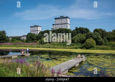 Blick auf Forth & Clyde Canal, Glasgow, Schottland mit Stegen im Vordergrund und Hochhäusern im Hintergrund. Stockfoto