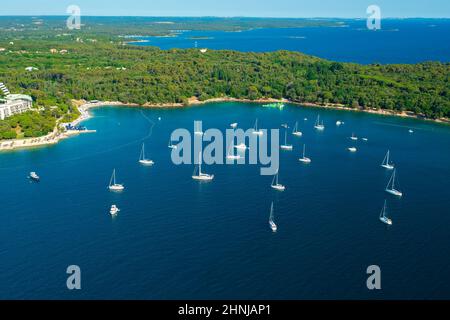 Luxuriöse Yachten treiben auf der ruhigen Oberfläche der Adriatischen Meeresbucht in der Nähe der Halbinsel. Dichte grüne Wälder umgeben die kroatische Stadt Rovinj. Luftpanorama Stockfoto