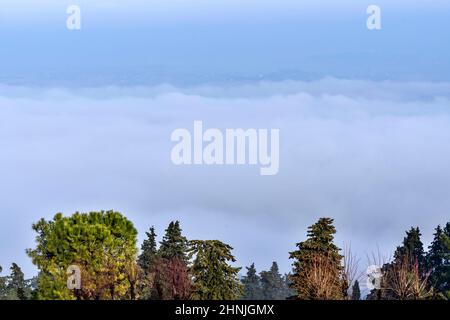 Blick vom Pincio, Aussichtspunkt Marche, Nebel, Potenza Picena, Italien, Europa Stockfoto