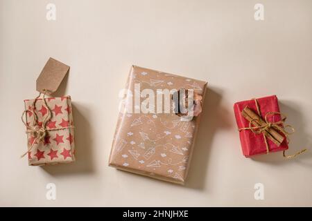 Sammlung von Weihnachtsgeschenkschachteln in umweltfreundlichem Recycling-Bastelpapier in Reihe, verziert mit Zimtstangen und leerem Label über beigem Papierhinterguss Stockfoto