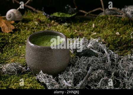 Traditionelle japanische heiße grüne schaumige Tee-Matcha in handgemackter Keramik-Tasse, die auf Waldmoos steht. Gesundes natürliches Getränk Stockfoto