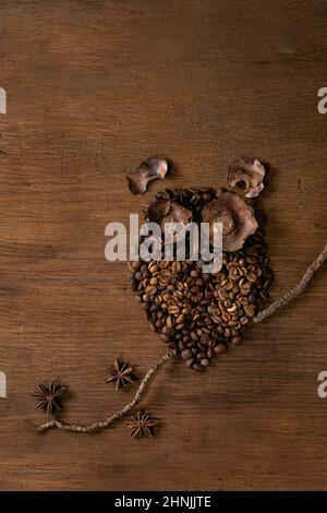 Eulenform aus Kaffeebohnen und Gewürzen. Eule sitzt auf dem Ast mit Anis-Satrs auf einem hölzernen Hintergrund. Lustige Geheimnis Kaffee Konzept Stockfoto