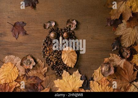 Eulenform aus Kaffeebohnen und Gewürzen. Eule sitzt auf dem Ast mit Kaffeetasse und Herbstblättern auf Holzgrund. Lustige Geheimnis Kaffee Konzept Stockfoto