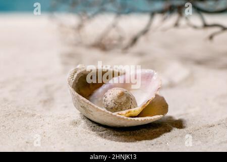 Stapel von Muscheln am sommerlichen Sandstrand mit Wellen und Korallen im Hintergrund. Kreativlayout für den Kopierbereich. Urlaubskonzept. Stockfoto