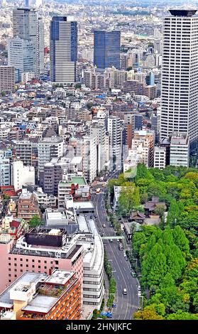 Luftaufnahme auf dem westlichen Shinjuku-Viertel und dem Shinjuku Central Park, Tokio, Japan Stockfoto