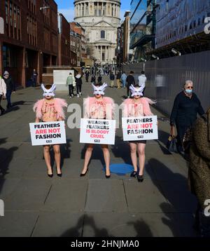 Millennium Bridge, London, Großbritannien. 17. Februar 2022. Um gegen den Einsatz von Federn bei der London Fashion Week zu protestieren, macht eine Schar von PETA-Anhängern am Donnerstag, dem 17th. Februar, die Millennium Bridge zu ihrem Laufsteg. Mit Vogelmasken und freigelegten „blutigen und gerupften“ Truhen heben sie die Notlage von Vögeln hervor, deren Federn für Modebekleidung und Accessoires herausgerissen werden. „Gefieder gehört sanften Vögeln, und die Menschen haben kein Recht, es ihnen von der Handvoll zu reißen“, sagt PETA-Direktorin Elisa Allen. „PETA fordert alle auf, mit fabelhaften veganen Textilien ein modisches Statement auf die freundliche Art und Weise zu machen.“ Kredit: Malcolm Park/A Stockfoto