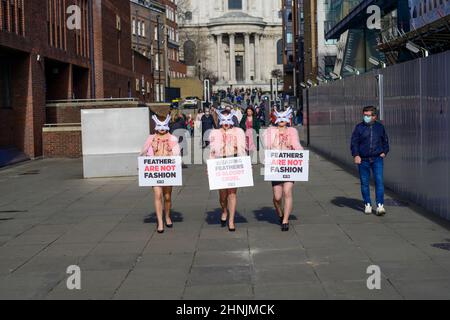 Millennium Bridge, London, Großbritannien. 17. Februar 2022. Um gegen den Einsatz von Federn bei der London Fashion Week zu protestieren, macht eine Schar von PETA-Anhängern am Donnerstag, dem 17th. Februar, die Millennium Bridge zu ihrem Laufsteg. Mit Vogelmasken und freigelegten „blutigen und gerupften“ Truhen heben sie die Notlage von Vögeln hervor, deren Federn für Modebekleidung und Accessoires herausgerissen werden. „Gefieder gehört sanften Vögeln, und die Menschen haben kein Recht, es ihnen von der Handvoll zu reißen“, sagt PETA-Direktorin Elisa Allen. „PETA fordert alle auf, mit fabelhaften veganen Textilien ein modisches Statement auf die freundliche Art und Weise zu machen.“ Kredit: Malcolm Park/A Stockfoto