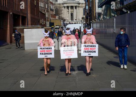 Millennium Bridge, London, Großbritannien. 17. Februar 2022. Um gegen den Einsatz von Federn bei der London Fashion Week zu protestieren, macht eine Schar von PETA-Anhängern am Donnerstag, dem 17th. Februar, die Millennium Bridge zu ihrem Laufsteg. Mit Vogelmasken und freigelegten „blutigen und gerupften“ Truhen heben sie die Notlage von Vögeln hervor, deren Federn für Modebekleidung und Accessoires herausgerissen werden. „Gefieder gehört sanften Vögeln, und die Menschen haben kein Recht, es ihnen von der Handvoll zu reißen“, sagt PETA-Direktorin Elisa Allen. „PETA fordert alle auf, mit fabelhaften veganen Textilien ein modisches Statement auf die freundliche Art und Weise zu machen.“ Kredit: Malcolm Park/A Stockfoto